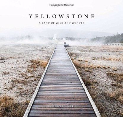 Picture of Yellowstone: A Land of Wild and Wonder