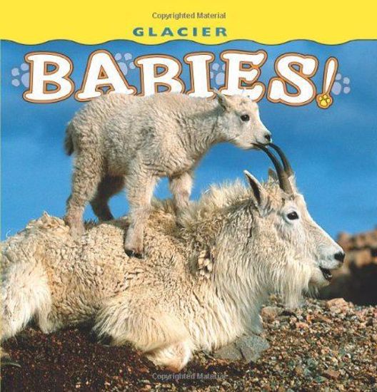 Picture of Glacier Babies!