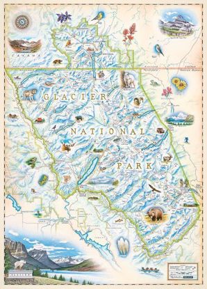 Picture of Map: Xplorer Glacier Map