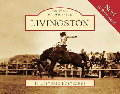 Picture of Postcards of America: Livingston