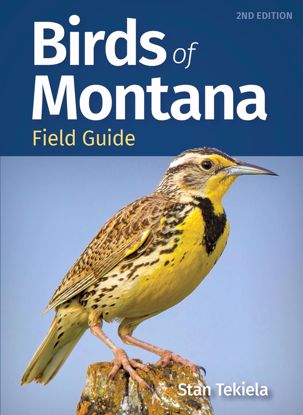 Picture of Birds of Montana Field Guide - New 2nd Edition