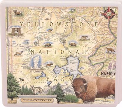 Picture of Coaster: Xplorer Yellowstone Map