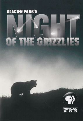 Picture of Glacier Park's Night of the Grizzlies (DVD)