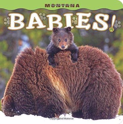 Picture of Montana Babies!