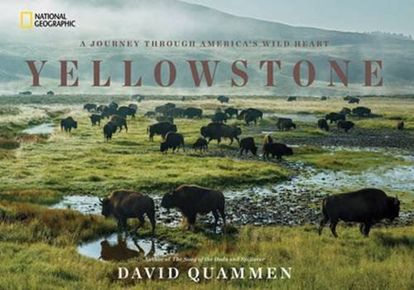 Picture of Yellowstone: A Journey Through America's Wild Heart