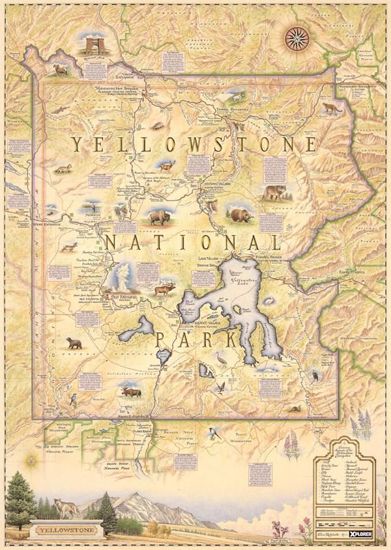 Picture of Map: Xplorer Yellowstone Map