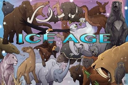 Picture of Poster: Animals of the Ice Age, by Ted Rechlin