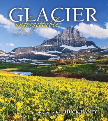 Picture of Glacier Unforgettable
