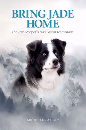 Picture of Bring Jade Home: The True Story of a Dog Lost in Yellowstone and the People Who Searched for Her
