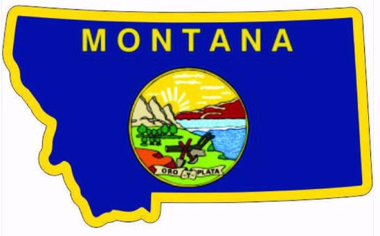 Picture of Sticker - Montana Shape Flag